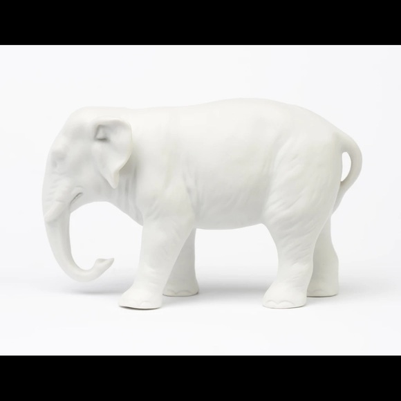 whiteelepha